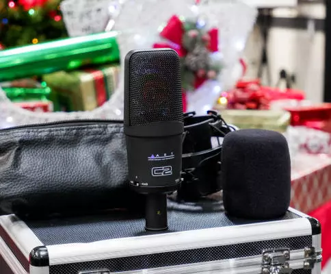 ART Pro Audio - C2 Cardioid Side Address Studio Microphone with Pad & Roll Off 2